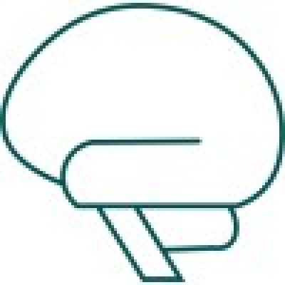 Adeptiv AI