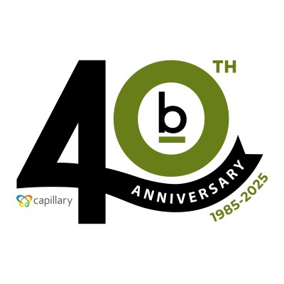 Brierley | A Capillary Services Company