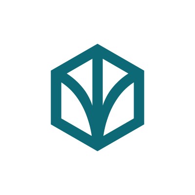 BSF Capital