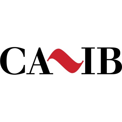 CA IB Corporate Finance