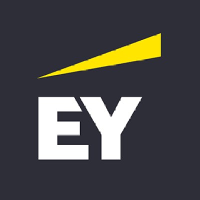 EY Technology Solutions