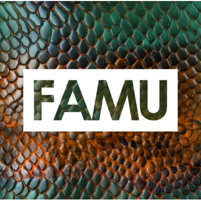 Florida Agricultural and Mechanical University