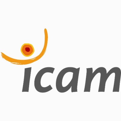 Icam - Institut Catholique d'Arts et Métiers