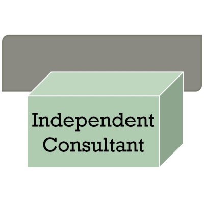 Independent Consultant