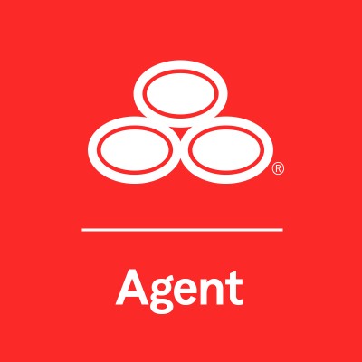 State Farm Agent