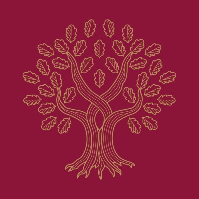 Universidad Panamericana