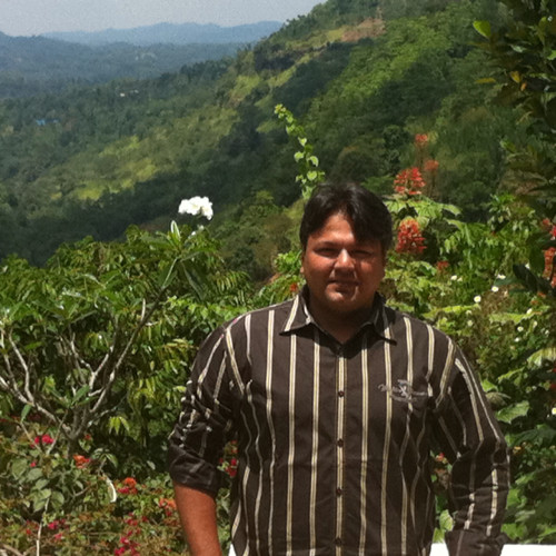 Anand Singhi