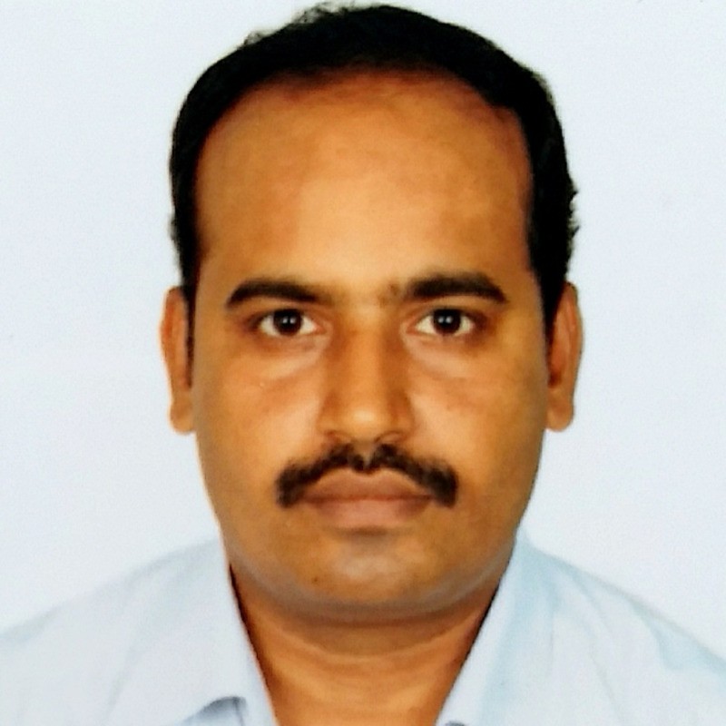Bharathidasan N.