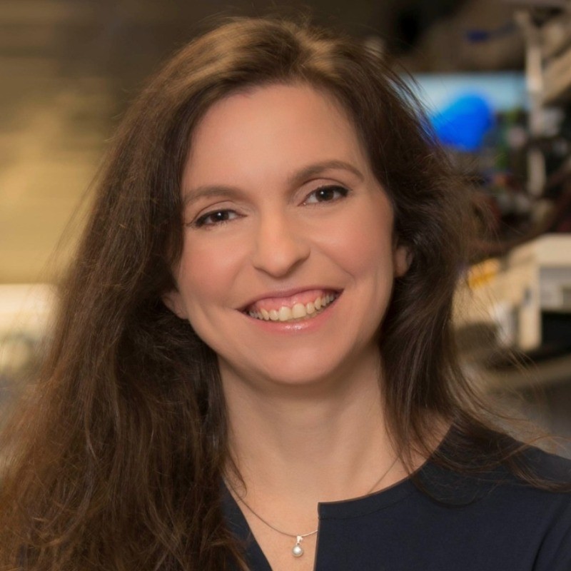 Karin Eibschitz Segal